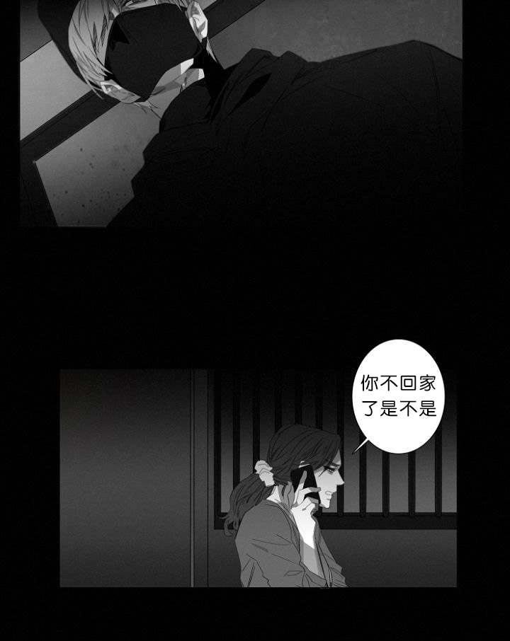第11章：目击案发现场
