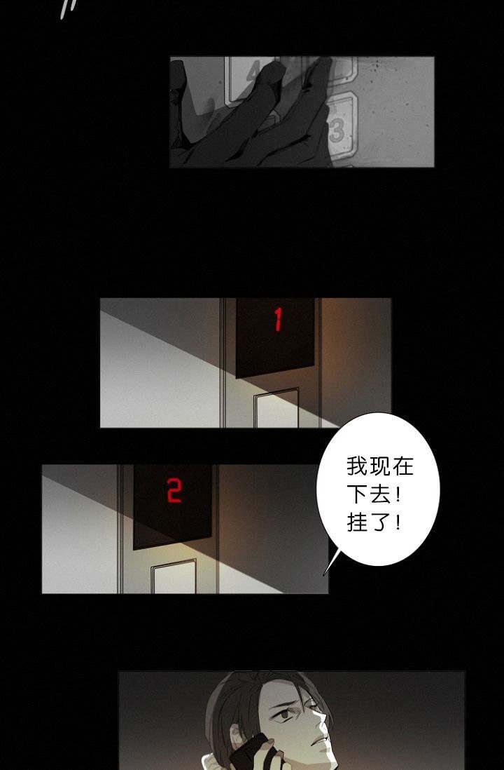 第11章：目击案发现场