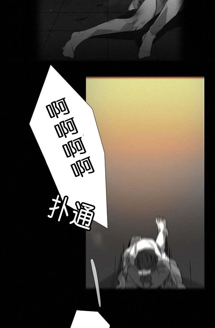 第11章：目击案发现场