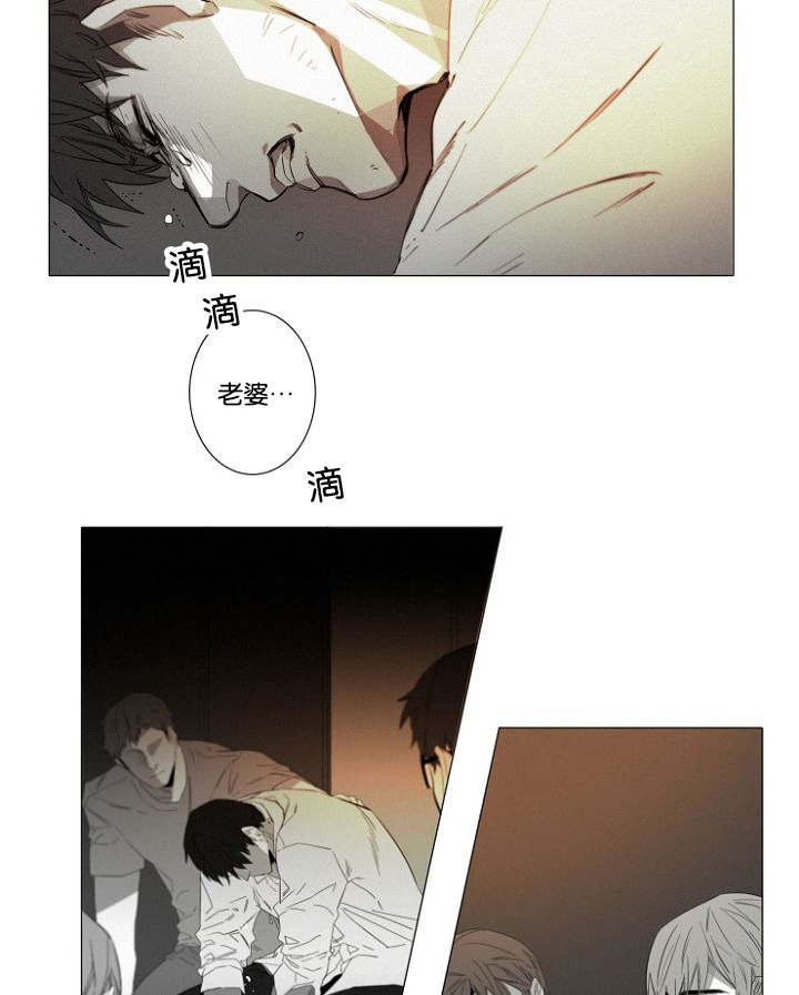 第14章：质疑
