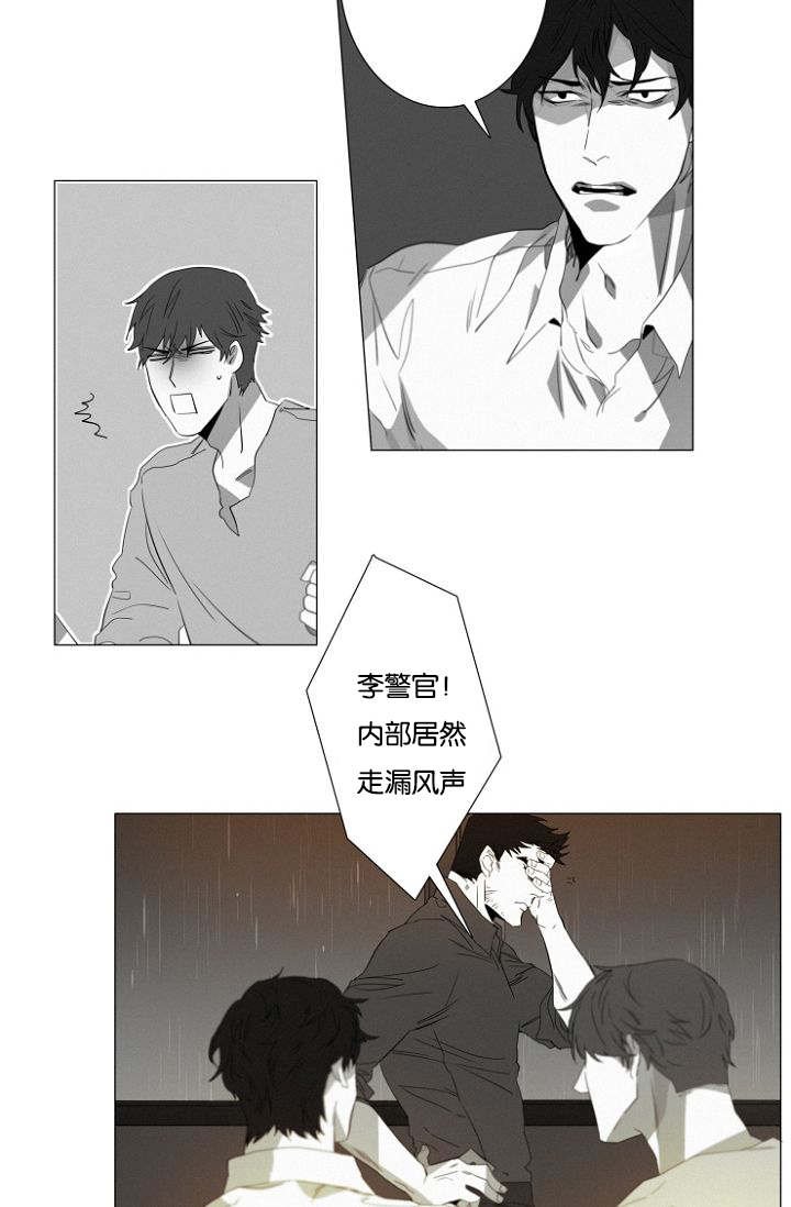 第14章：质疑