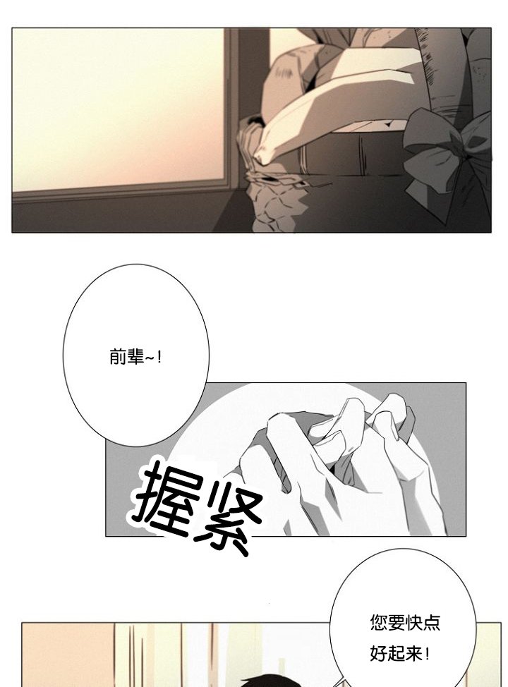 第15章：看望
