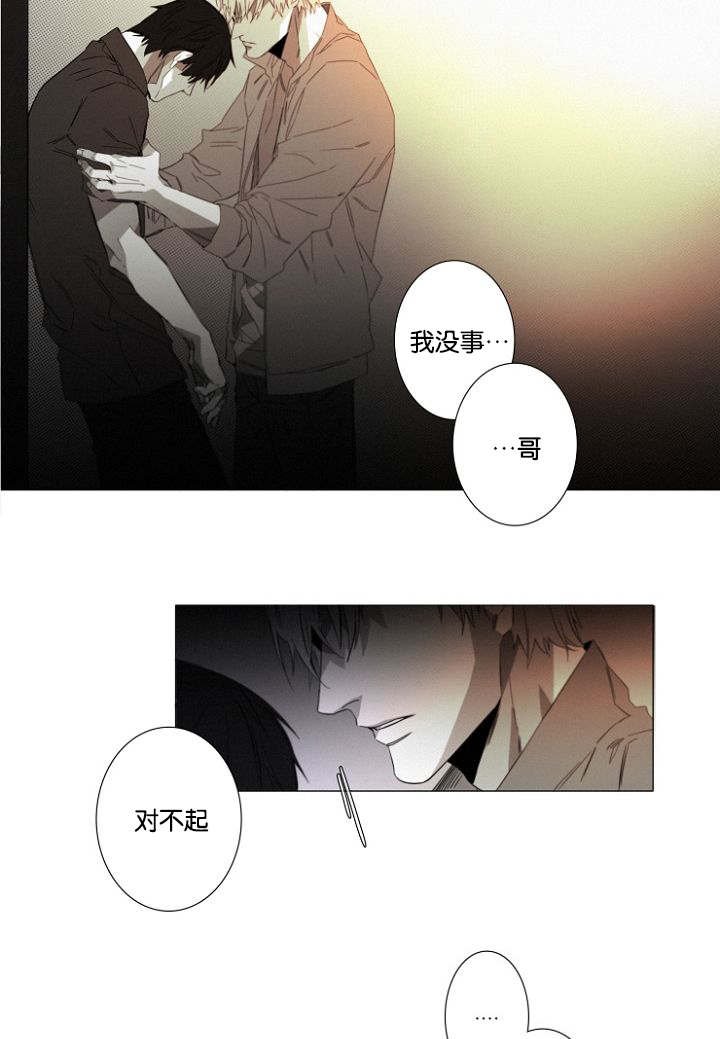 第19章：没有怪过你
