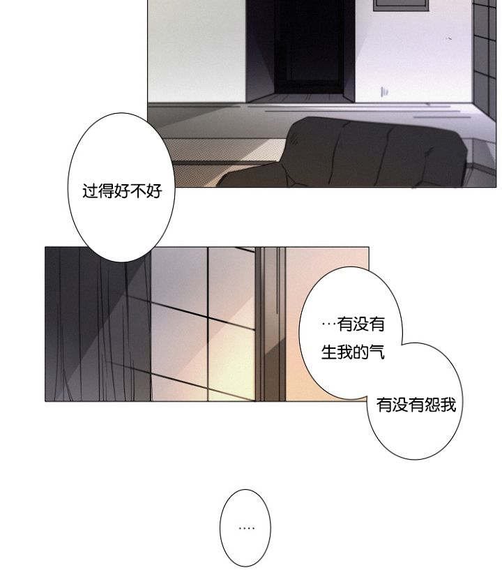 第19章：没有怪过你