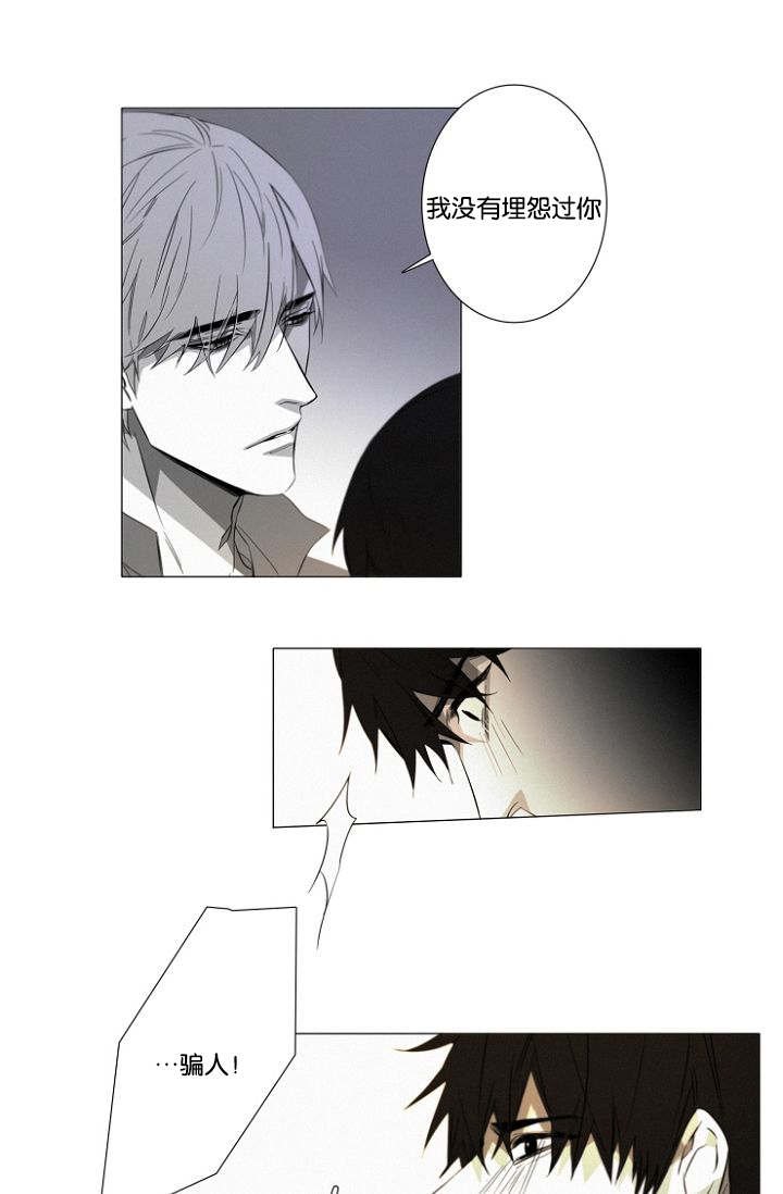 第19章：没有怪过你