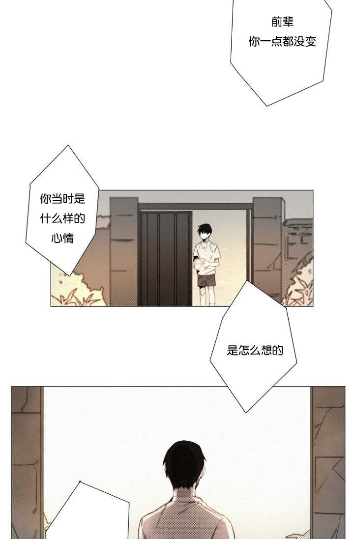 第19章：没有怪过你