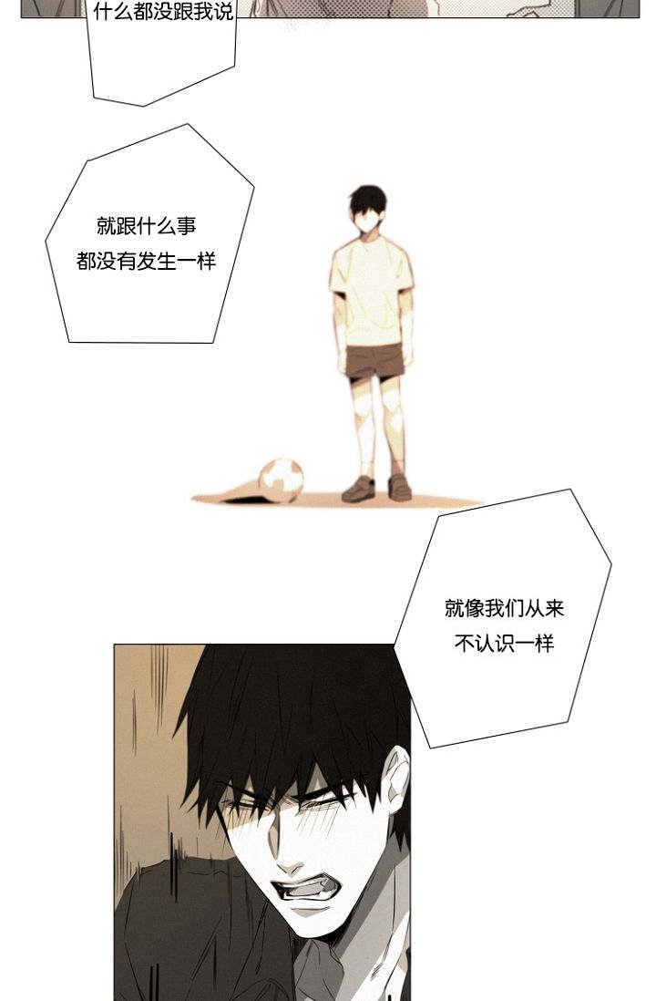 第19章：没有怪过你