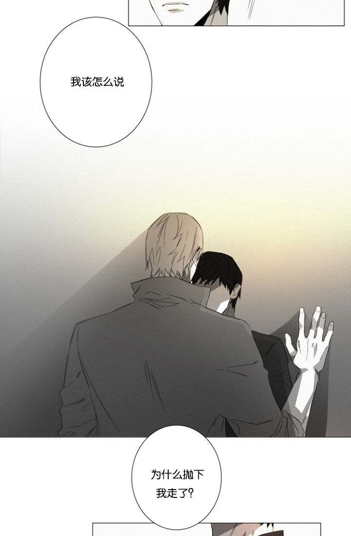 第19章：没有怪过你