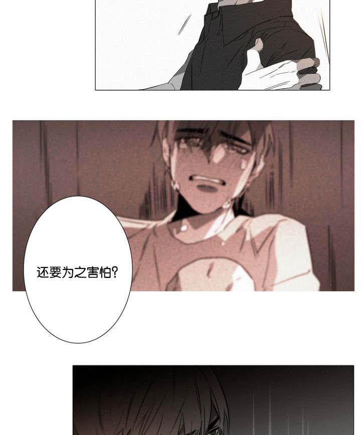 第19章：没有怪过你