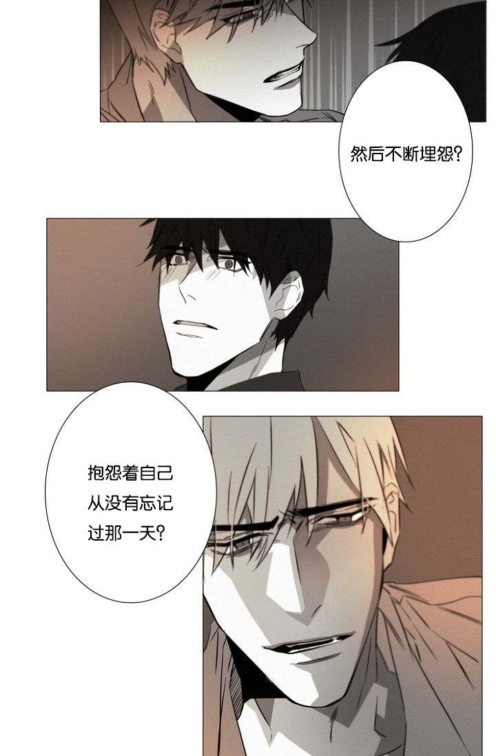 第19章：没有怪过你