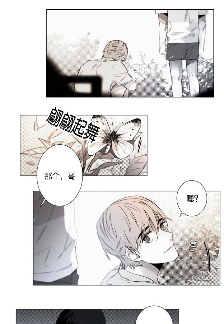 第20章：只要你