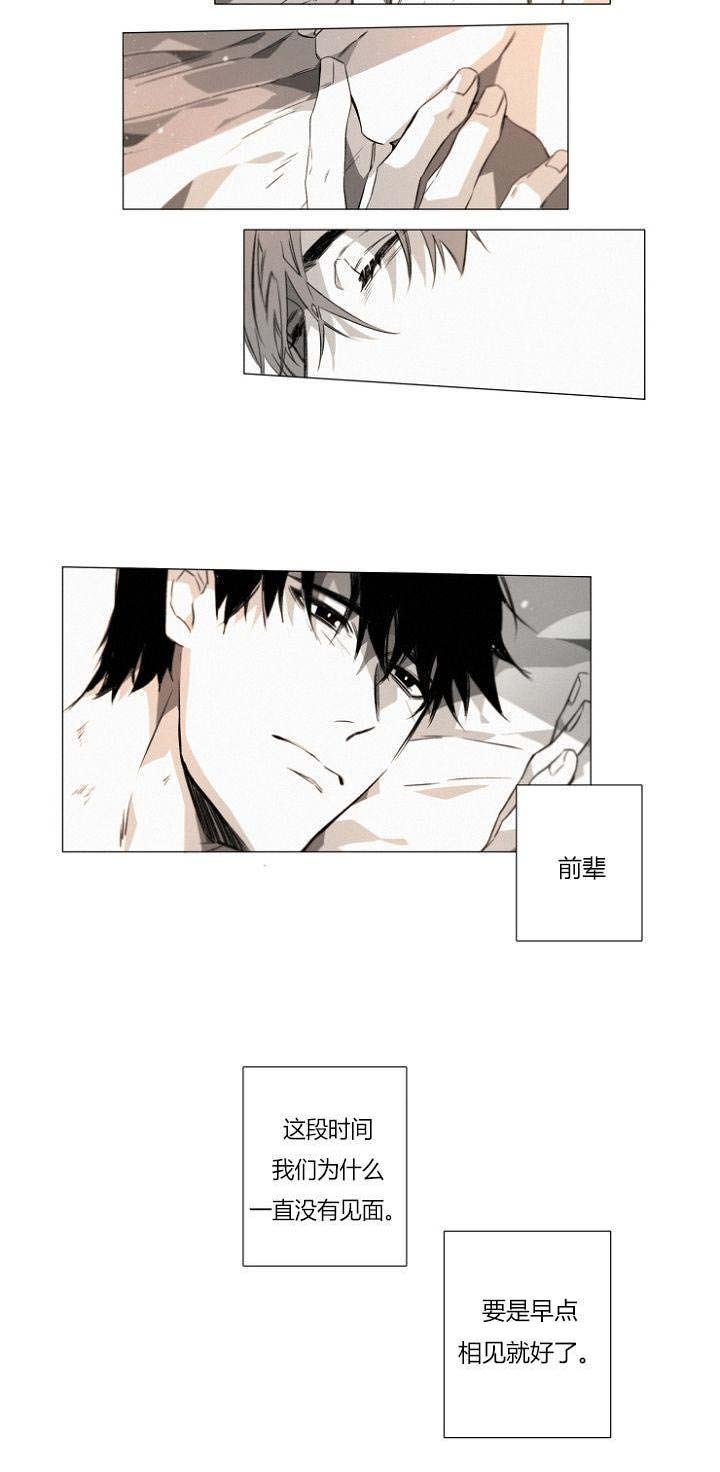 第20章：只要你