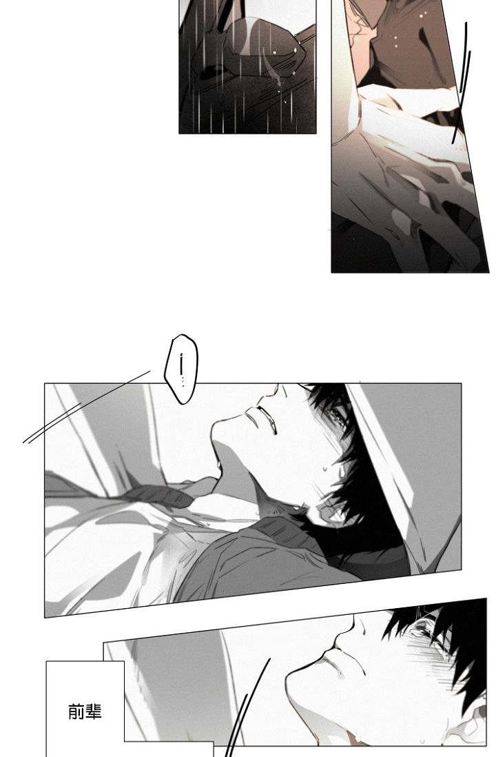 第29章：无法接受却要承担