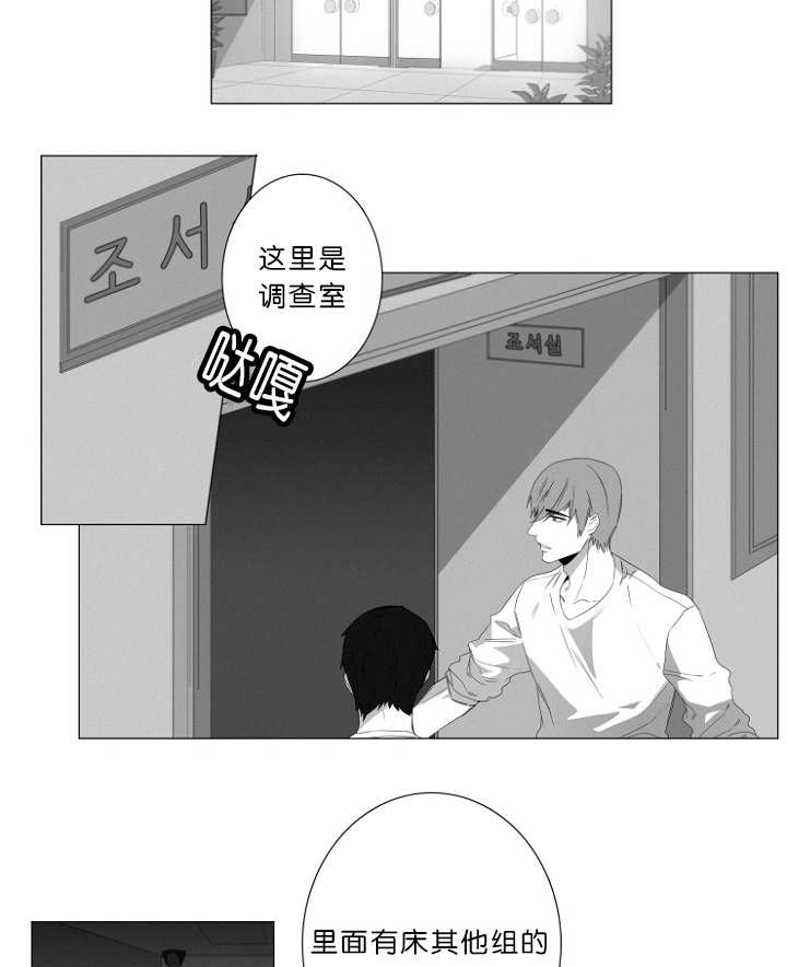 第3章：心跳