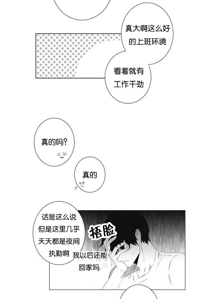 第3章：心跳