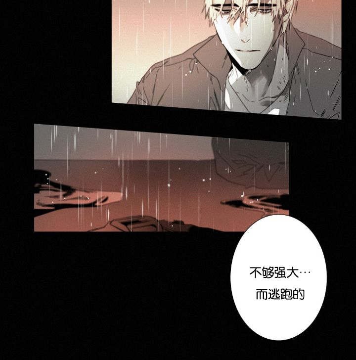 第32章：一起回去吧