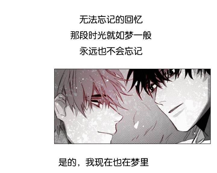 第32章：一起回去吧