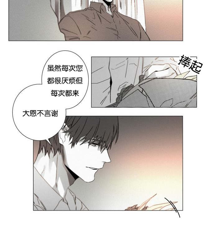 第33章：小花招