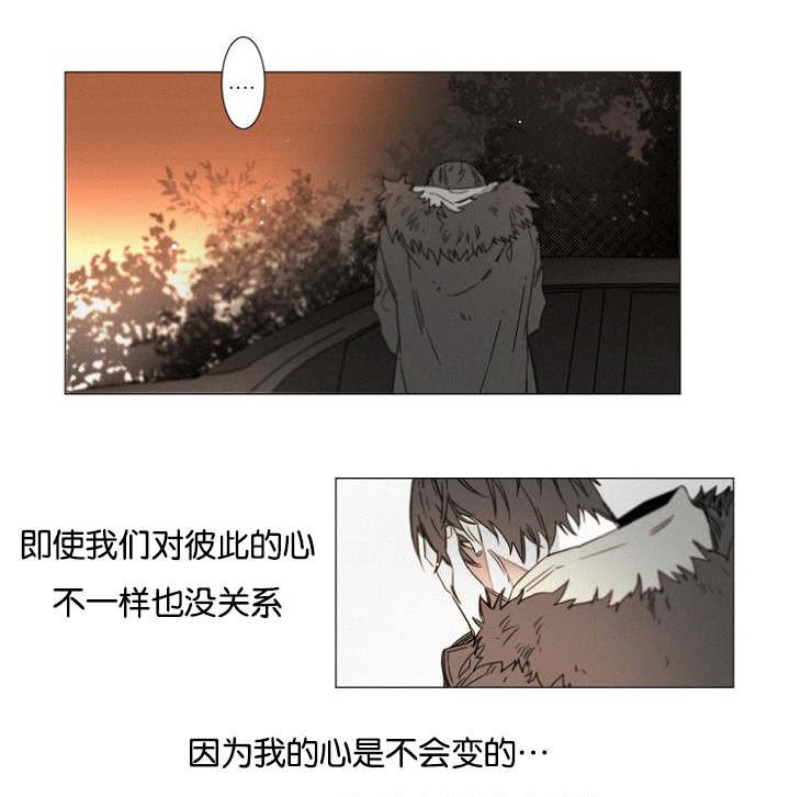 第37章：告白