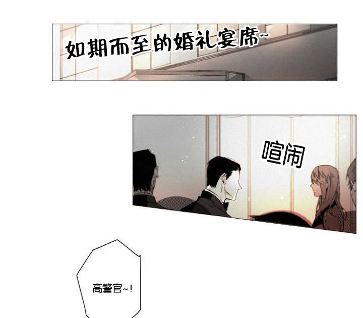 第39章：完结撒花