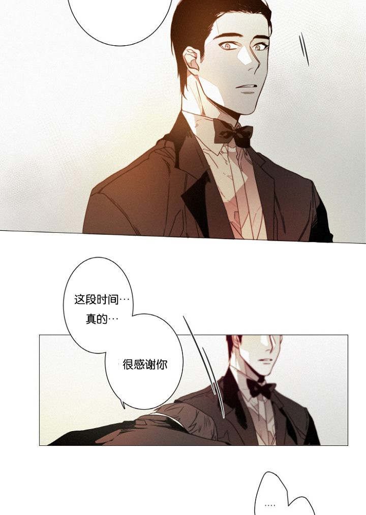 第39章：完结撒花