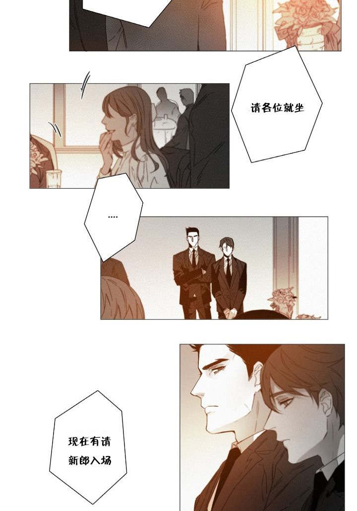 第39章：完结撒花