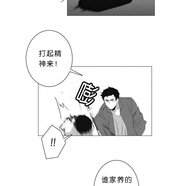 第7章：又一起凶杀案