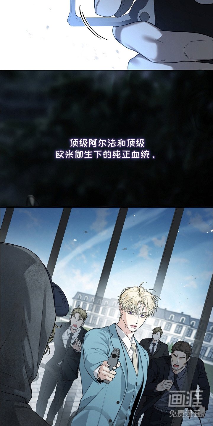 第10章：狗仔