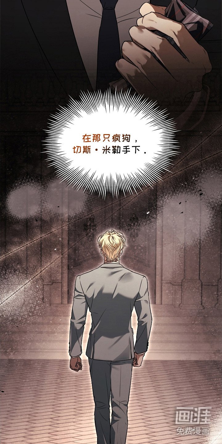第13章：条款