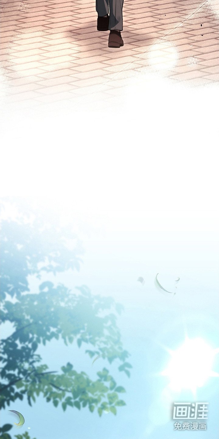 第13章：条款