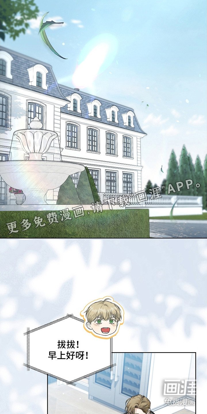 第13章：条款
