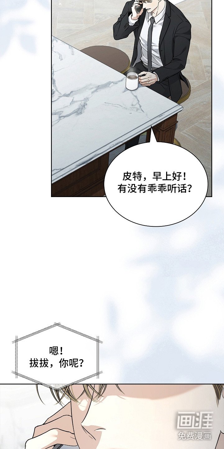 第13章：条款