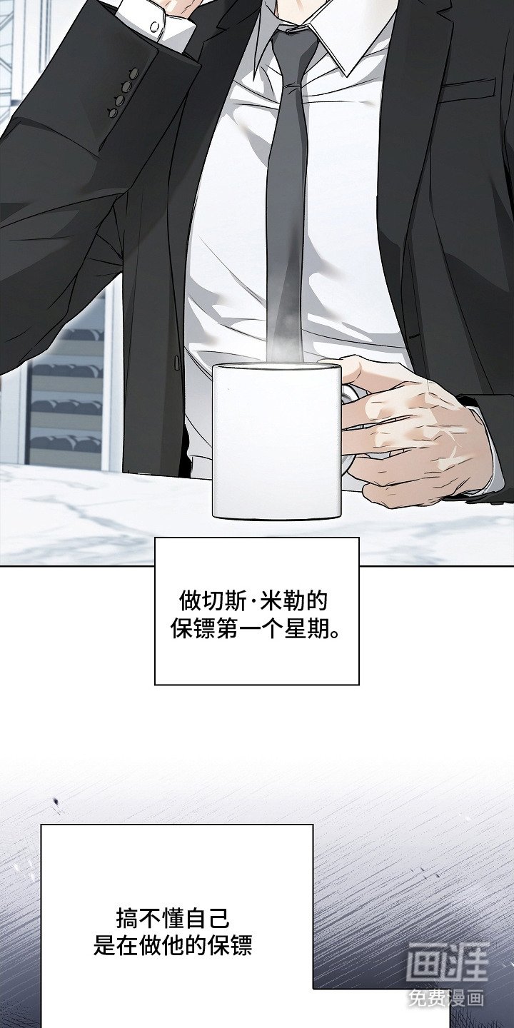 第13章：条款