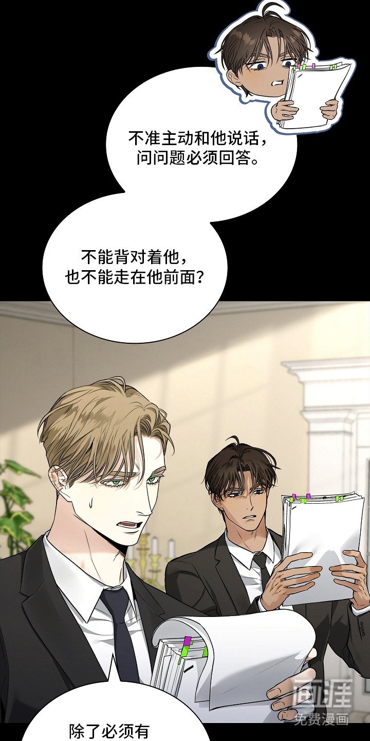 第13章：条款