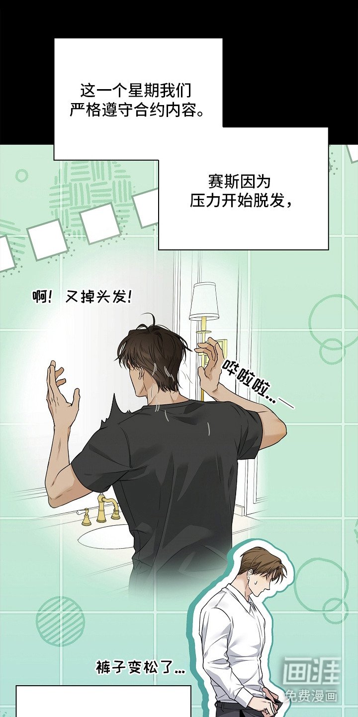第13章：条款