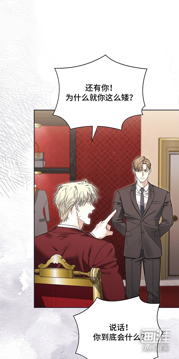 第19章：直升机