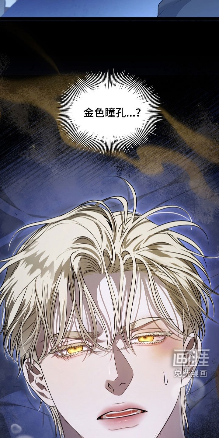 第26章：金色瞳孔