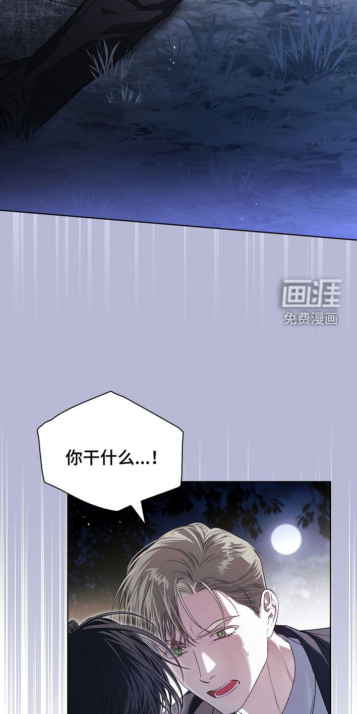 第39章：照单全收