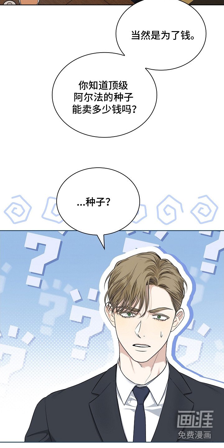 第8章：顶级阿尔法