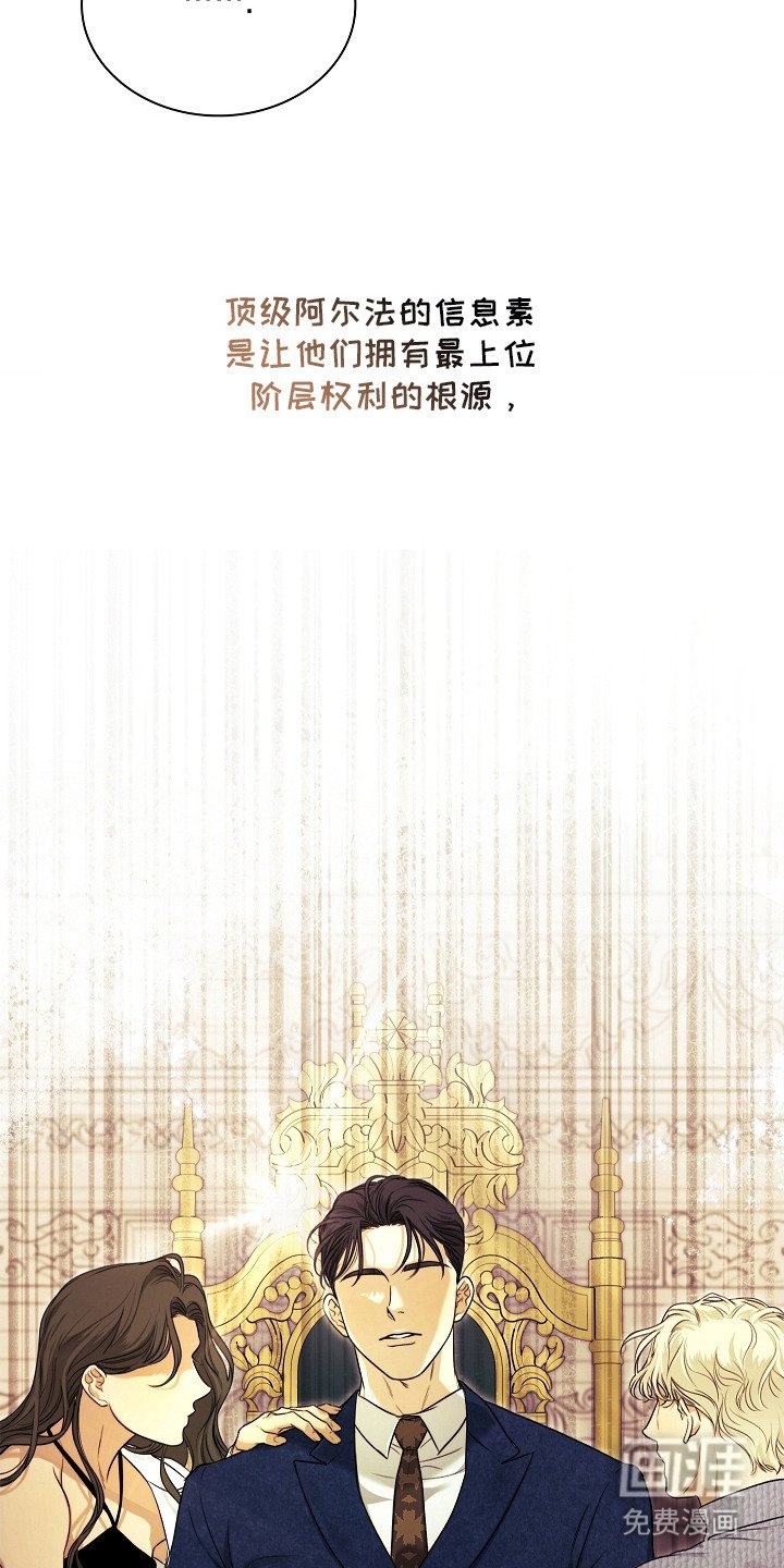 第8章：顶级阿尔法