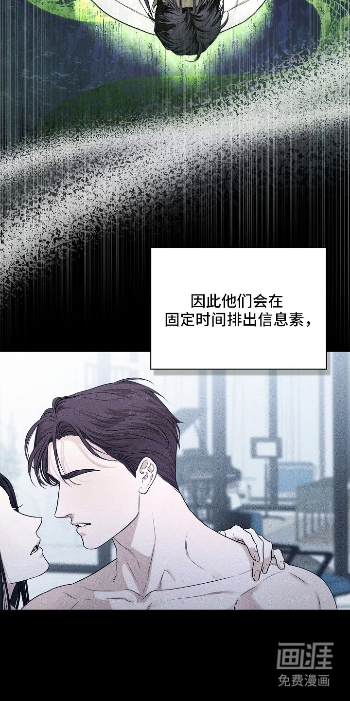第8章：顶级阿尔法