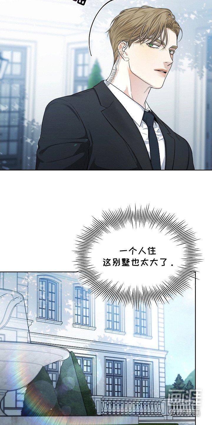 第9章：信息素