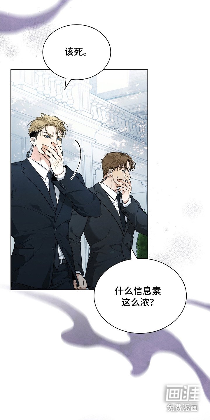 第9章：信息素