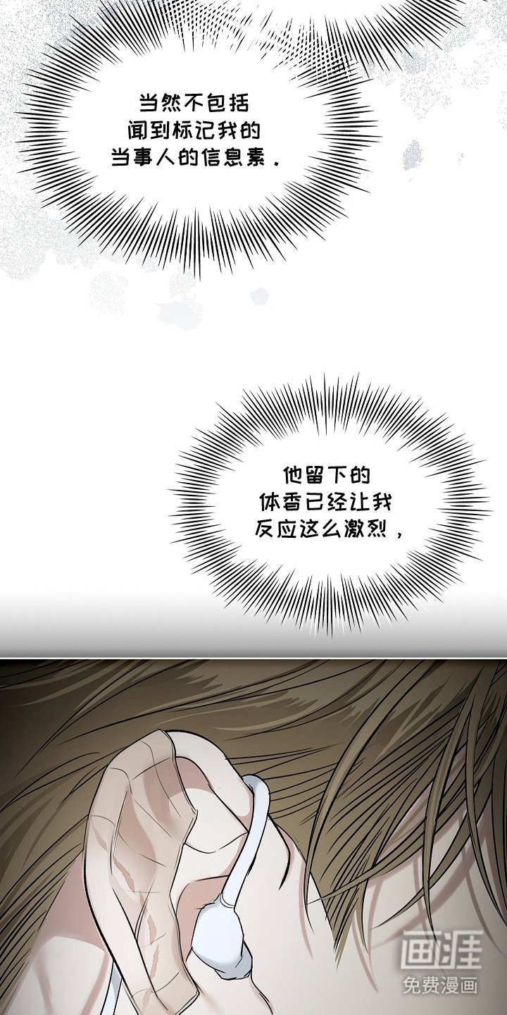 第9章：信息素