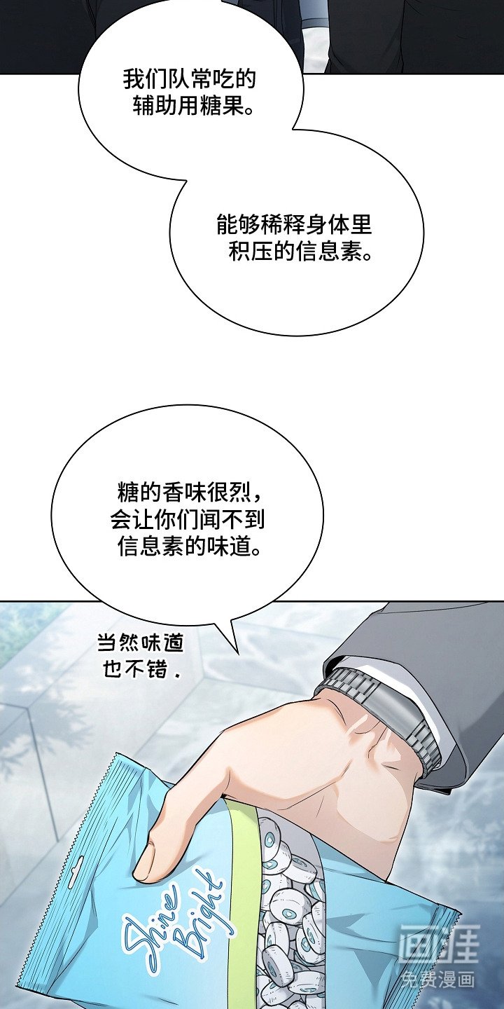 第9章：信息素