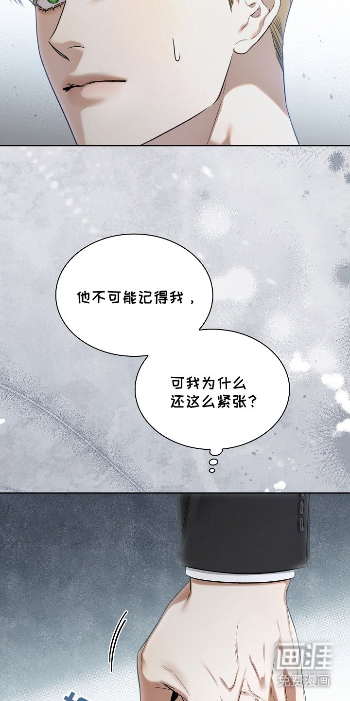 第9章：信息素