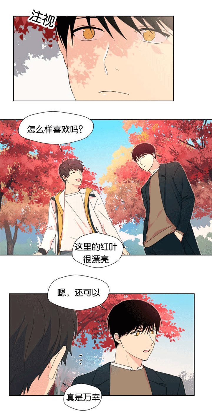 第19章：想了解你