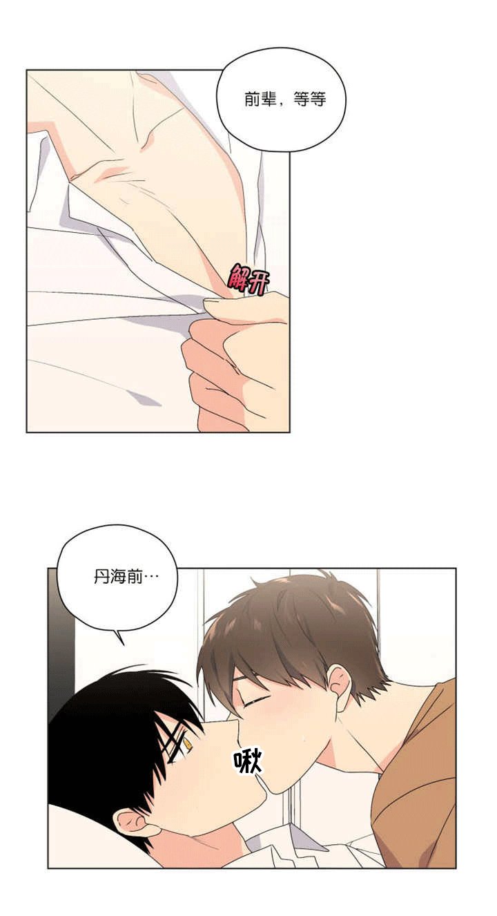 第41章：只有这个