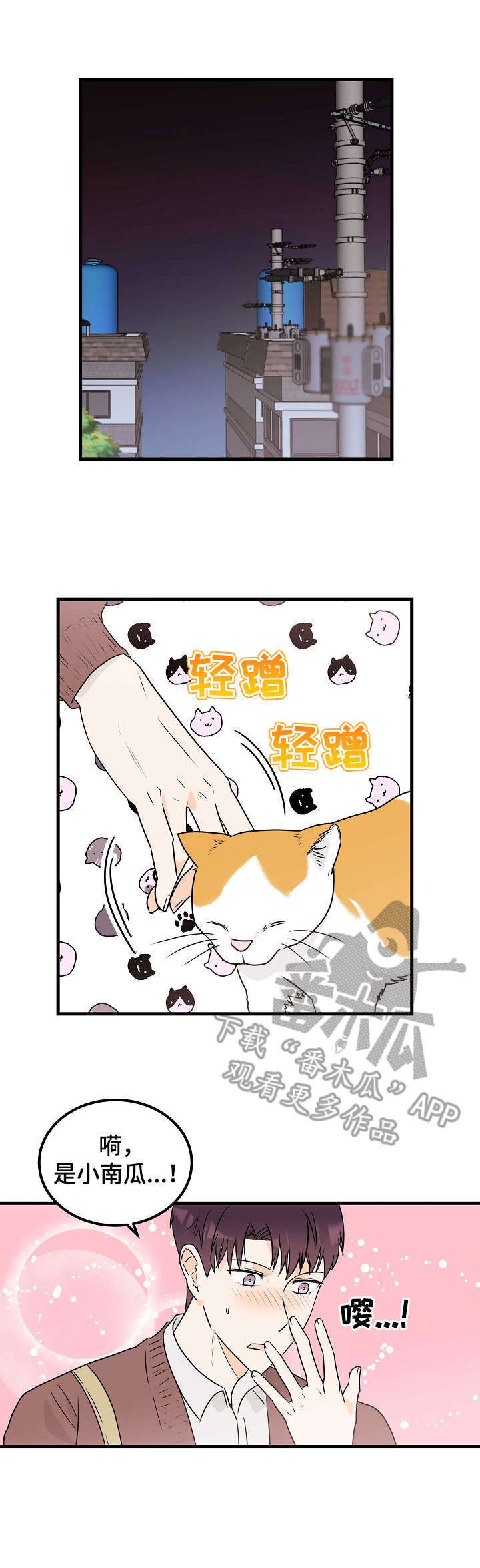 第13章：表白