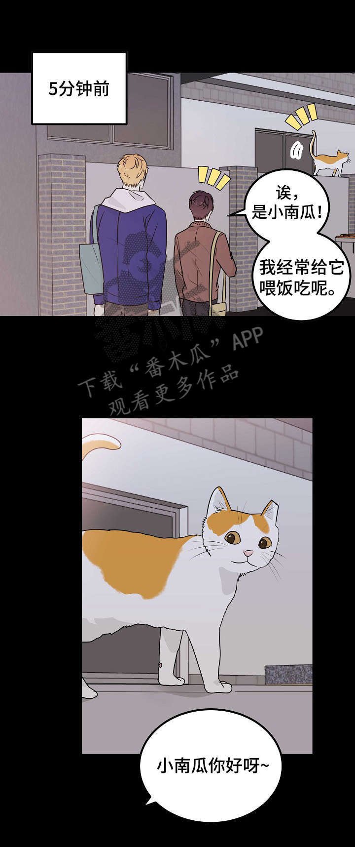 第13章：表白